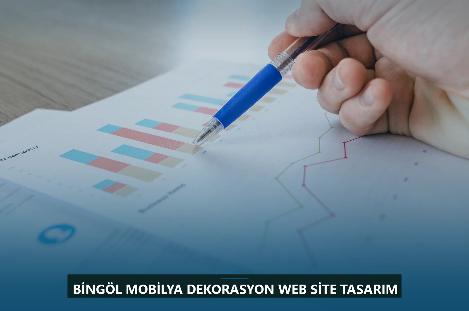 Bingöl Mobilya Dekorasyon Web Site Tasarım