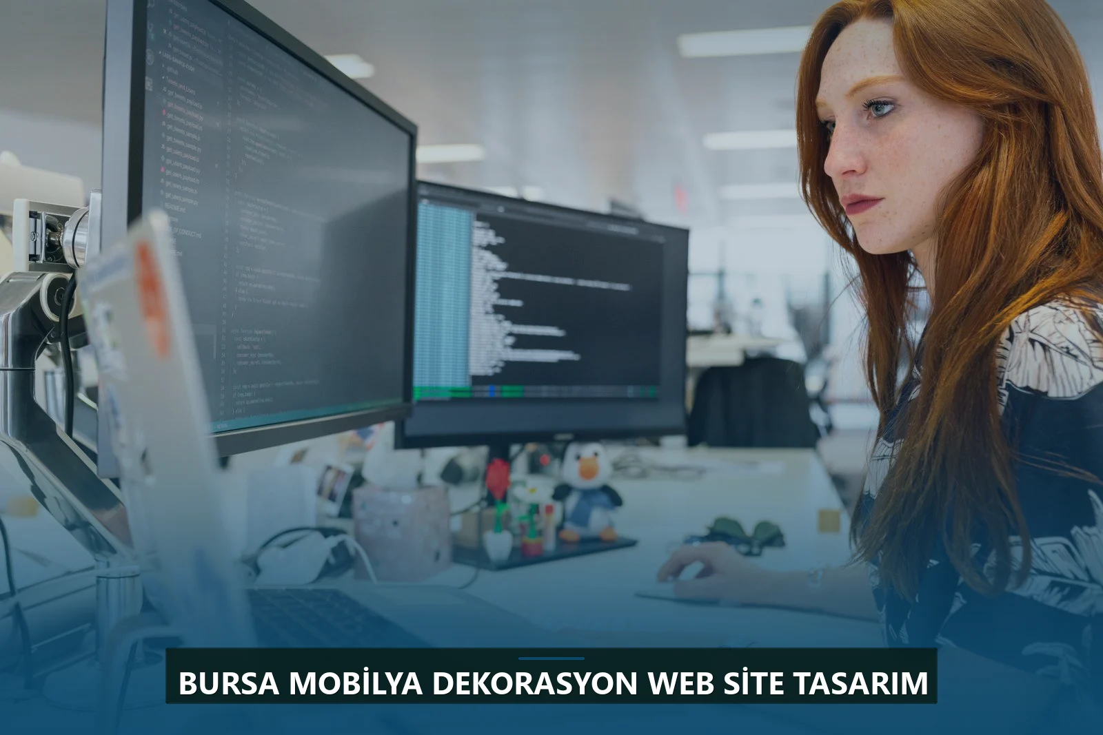 Bursa Mobilya Dekorasyon Web Site Tasarım
