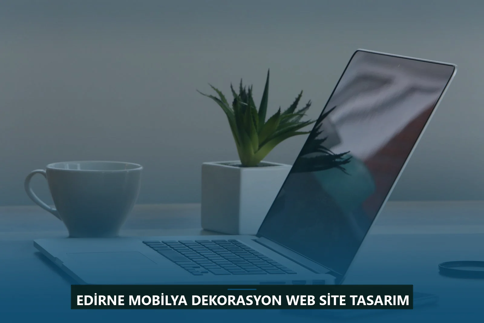 Edirne Mobilya Dekorasyon Web Site Tasarım