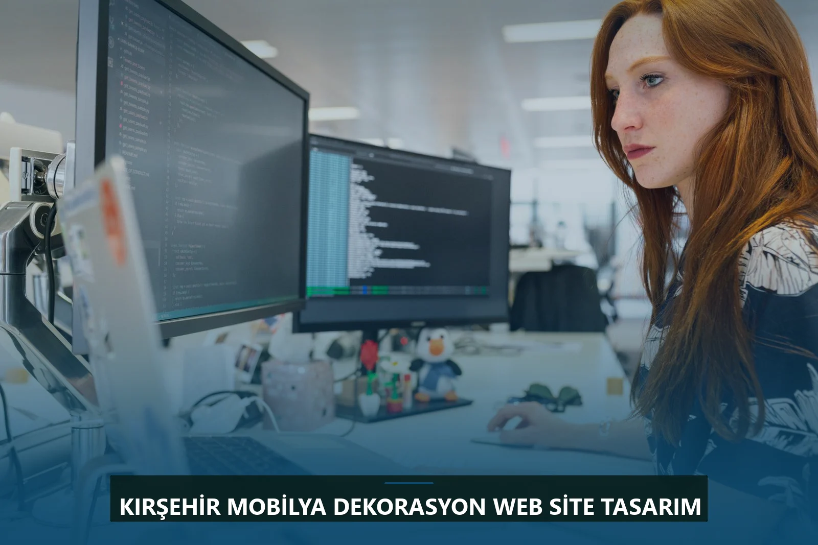 Kırşehir Mobilya Dekorasyon Web Site Tasarım