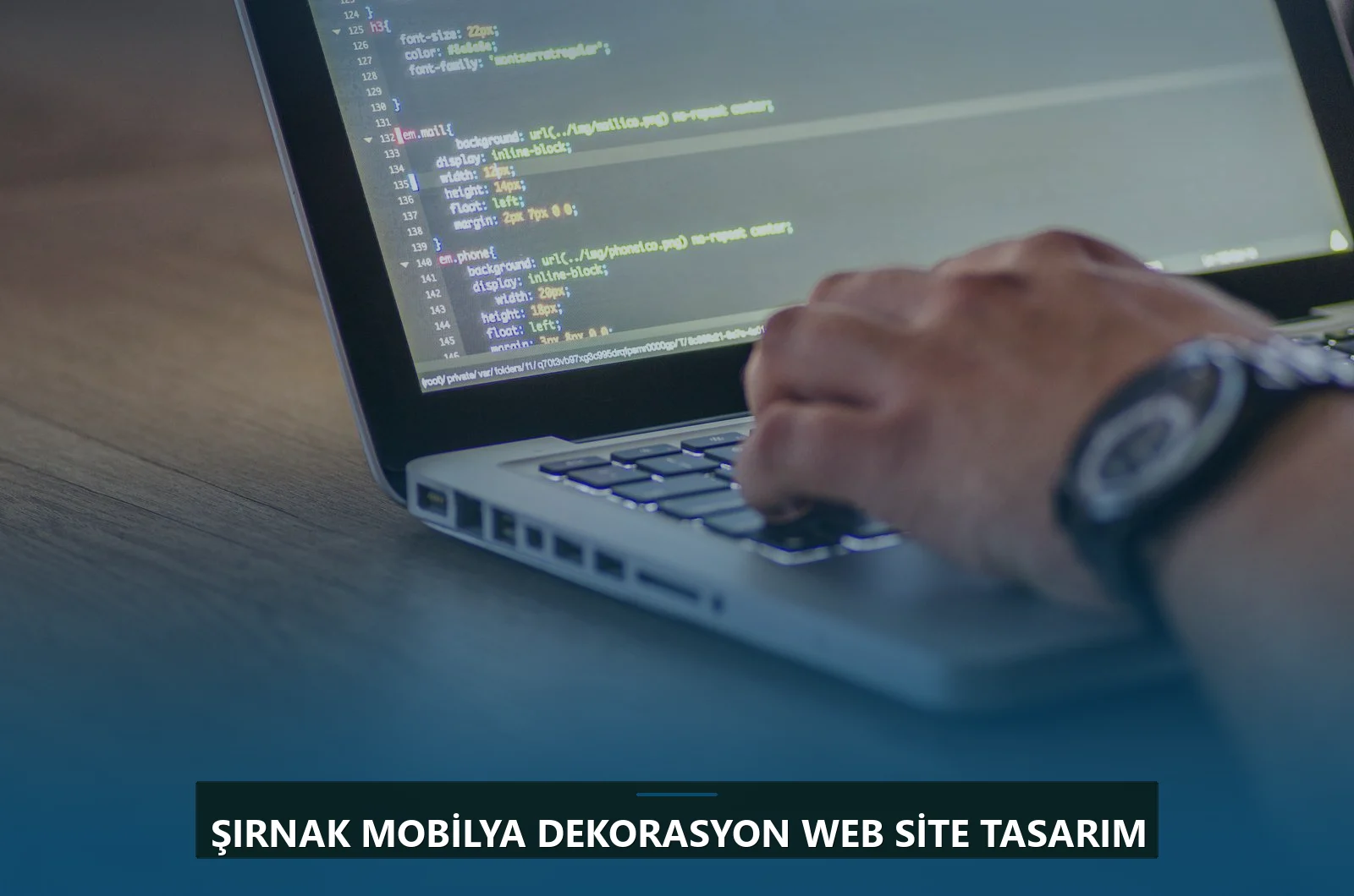 Şırnak Mobilya Dekorasyon Web Site Tasarım