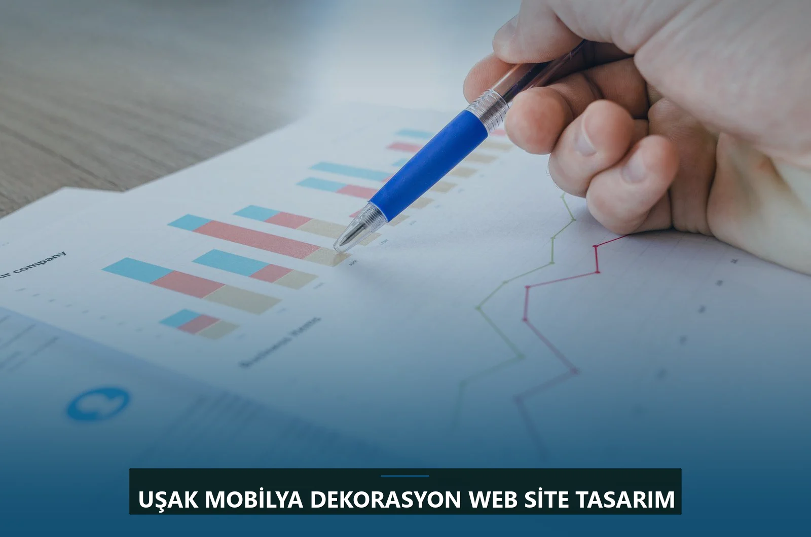 Uşak Mobilya Dekorasyon Web Site Tasarım
